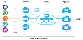 lora network