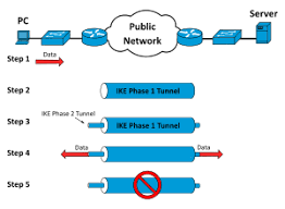 virtual private network software