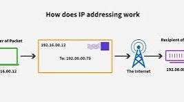 ip protocol