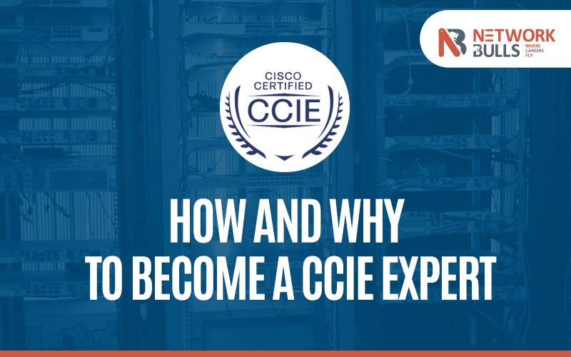 ccie certification