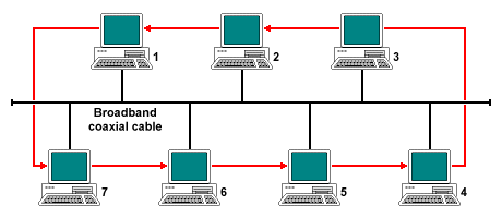 token bus and token ring